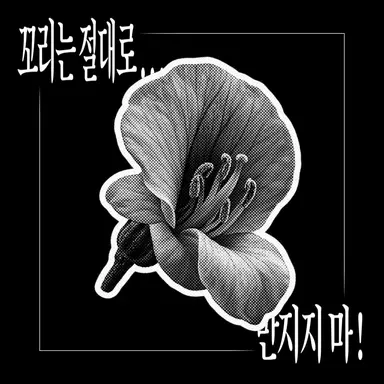 Profile image of 카시안 로엔