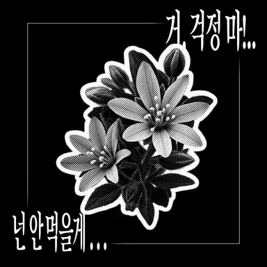 Profile image of 에드윈 발렌티