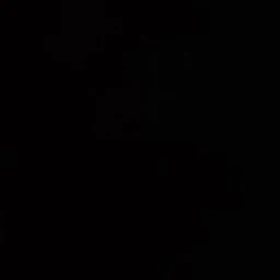 포트거스 D 에이스