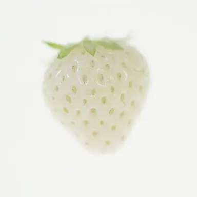 Profile image of 야마나카 쥬타로