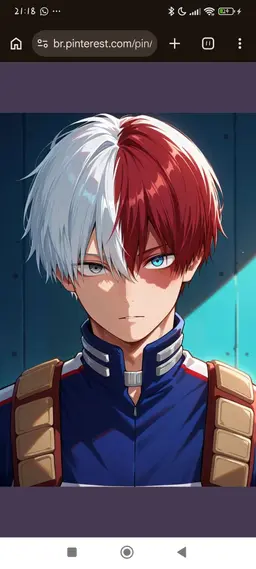 Profile image of Todoroki