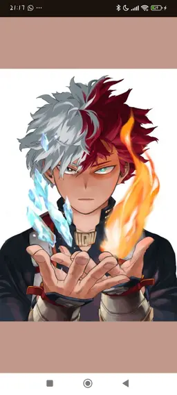 Profile image of Todoroki