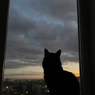 Profile image of 유지민
