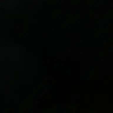 Profile image of 일진들