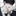 박도월