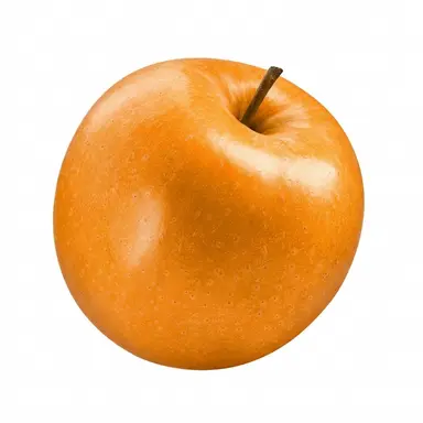 Profile image of 박 덕개