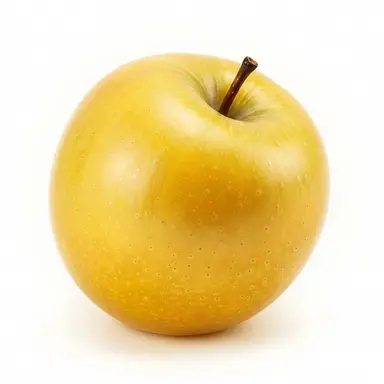 Profile image of 김 각별