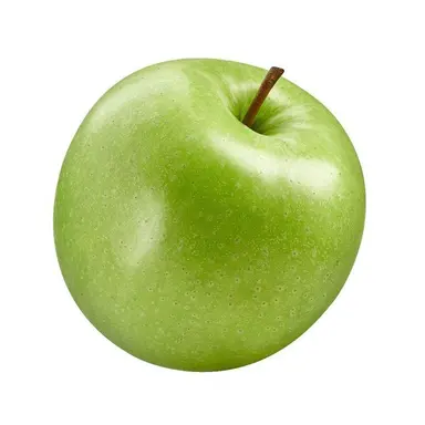 Profile image of 정 공룡