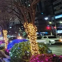 Profile image of 태희