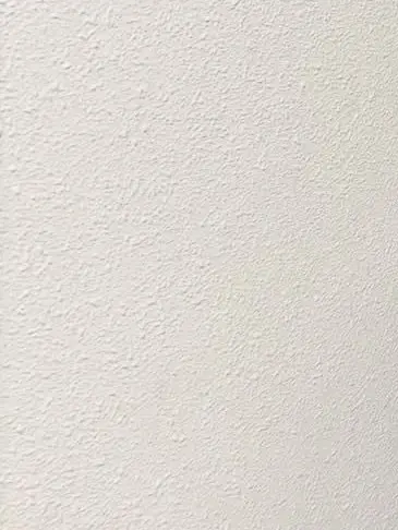 BigRisk6655의 친오빠들