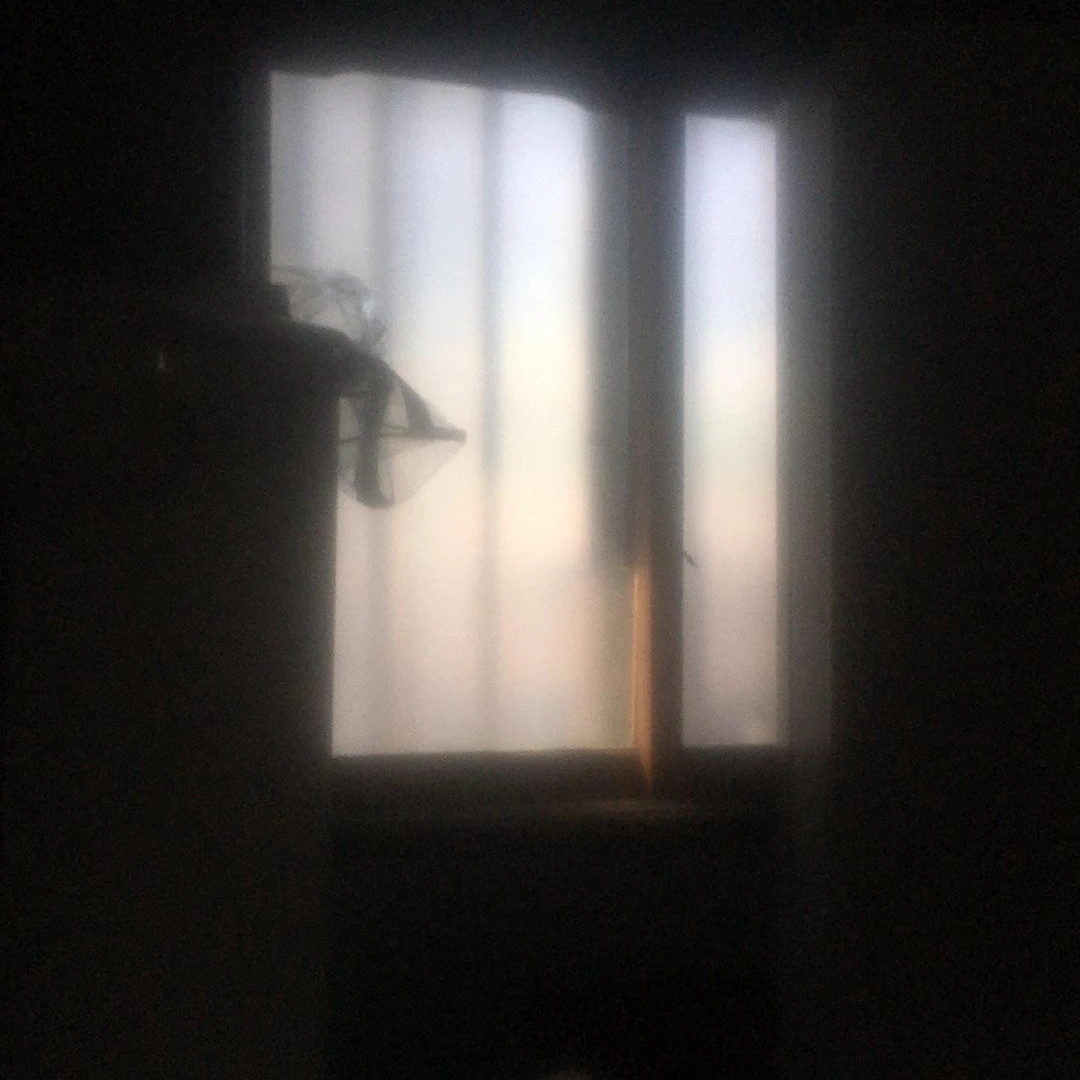 반여빈