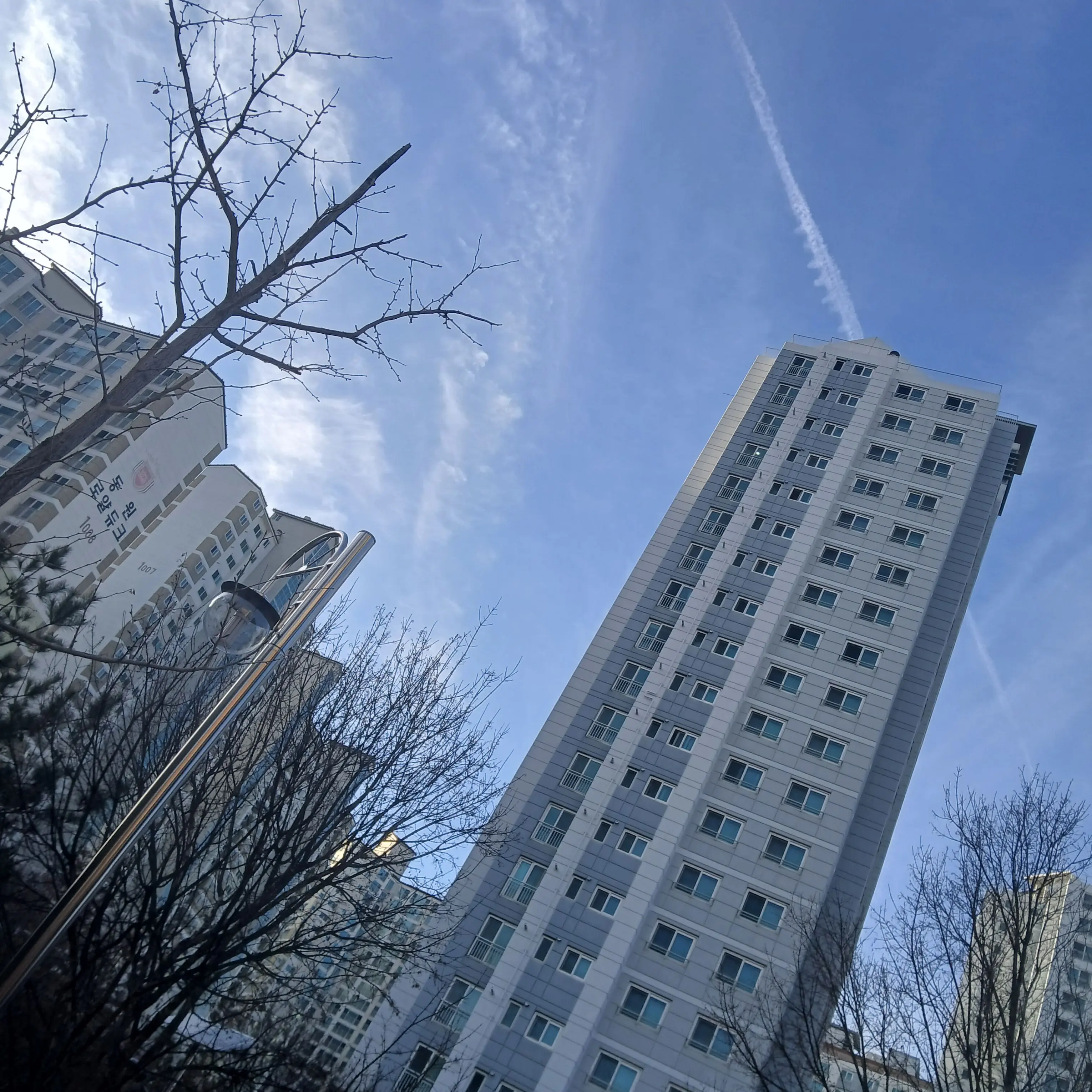 FlakyDaug3069의 렛츠교~우