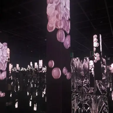 Profile image of 앤슐리