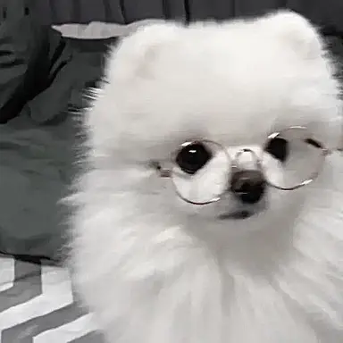 Profile image of 김니디