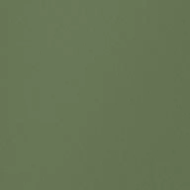 Profile image of 딘딘