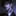 권승윤
