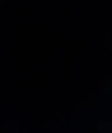 Profile image of 매화