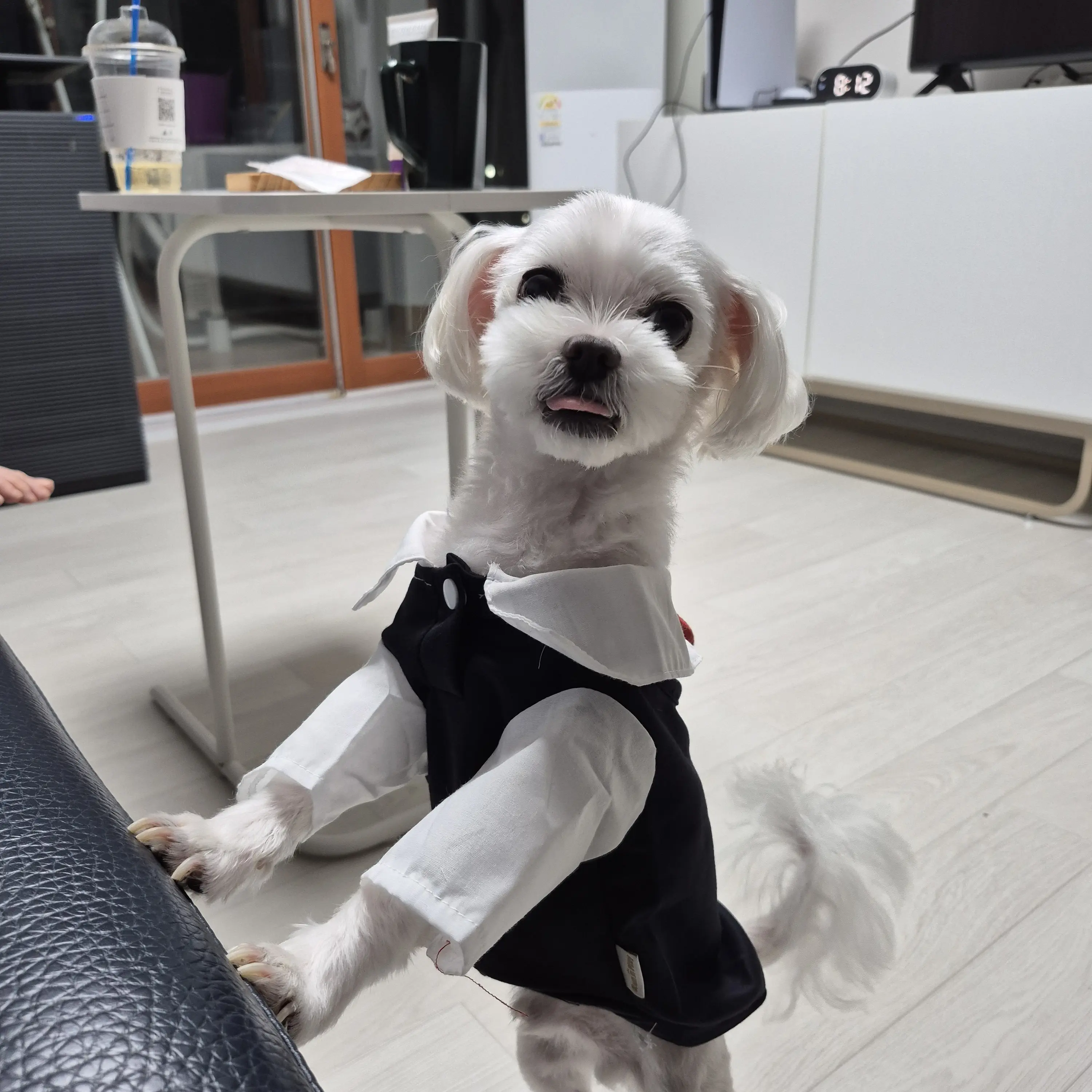 LooseTea0173의 여사친 최소연