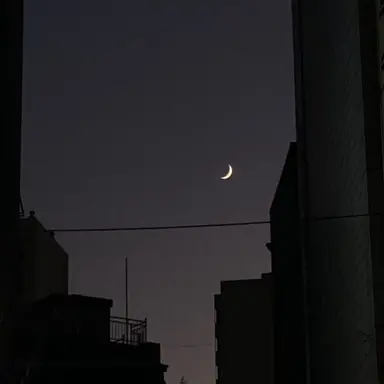 Profile image of 김규빈