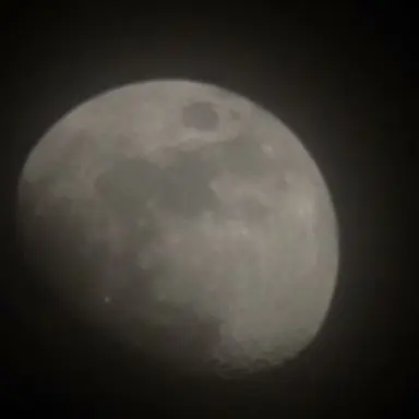 Profile image of 아빠