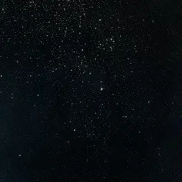 Profile image of W