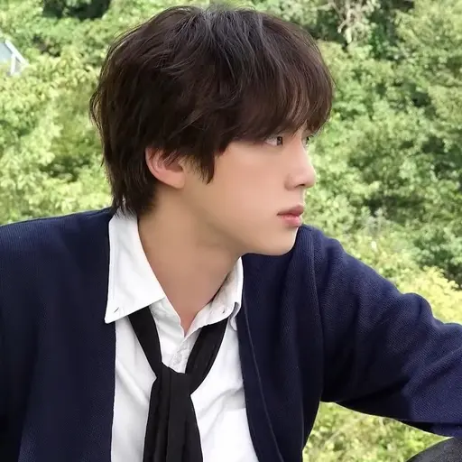 fffjijiji의 김석진