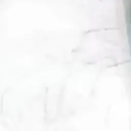 Profile image of どぬく