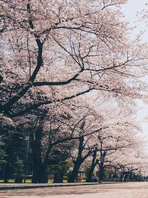 ._____.2064의 怪異でなければヒトの仕業