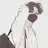 박권혁