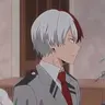 Profile image of Shoto Todoroki