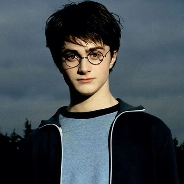 TastyWater2068의 해리포터