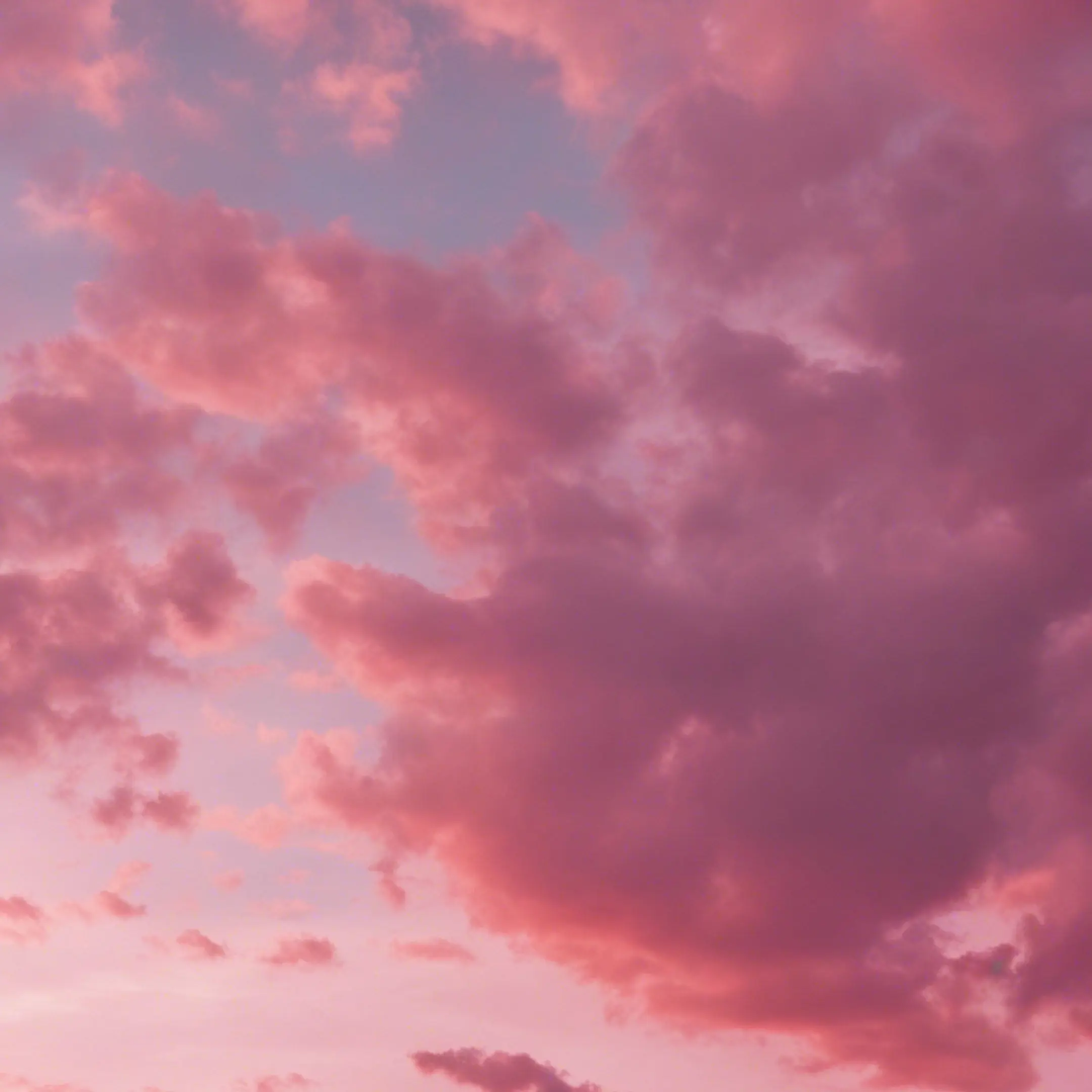 Hachi._.922의 兎と狼