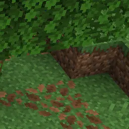 Profile image of 다키