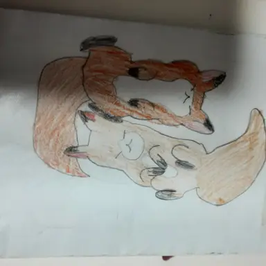 Profile image of 여우