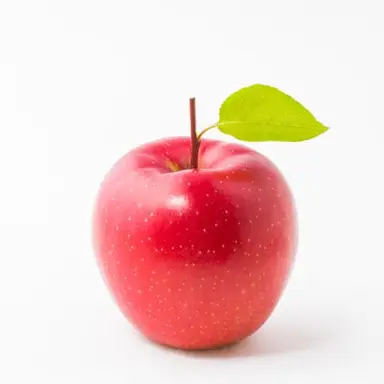 Profile image of 마플