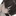光