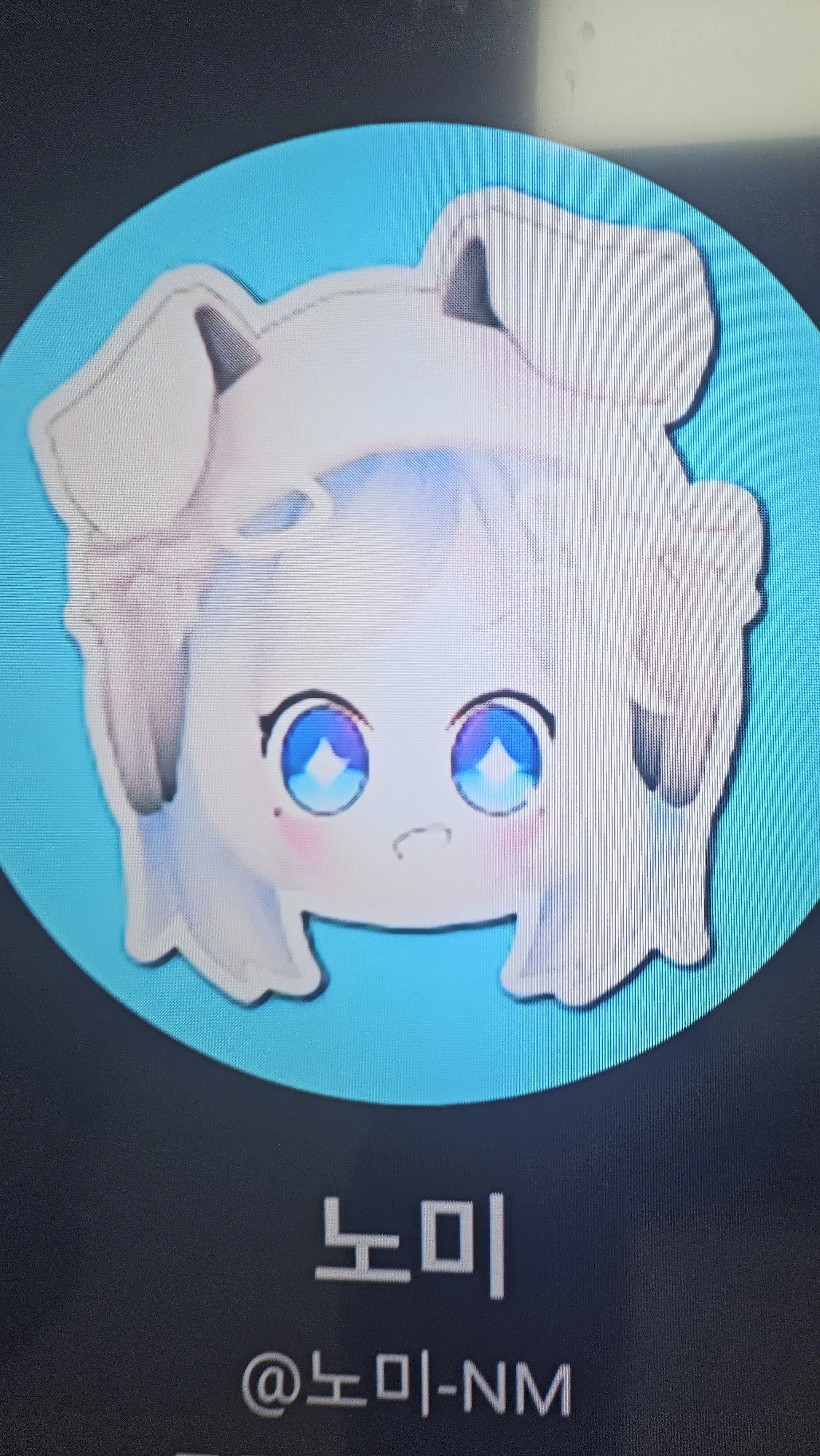 BitingPizza8179의 아지트