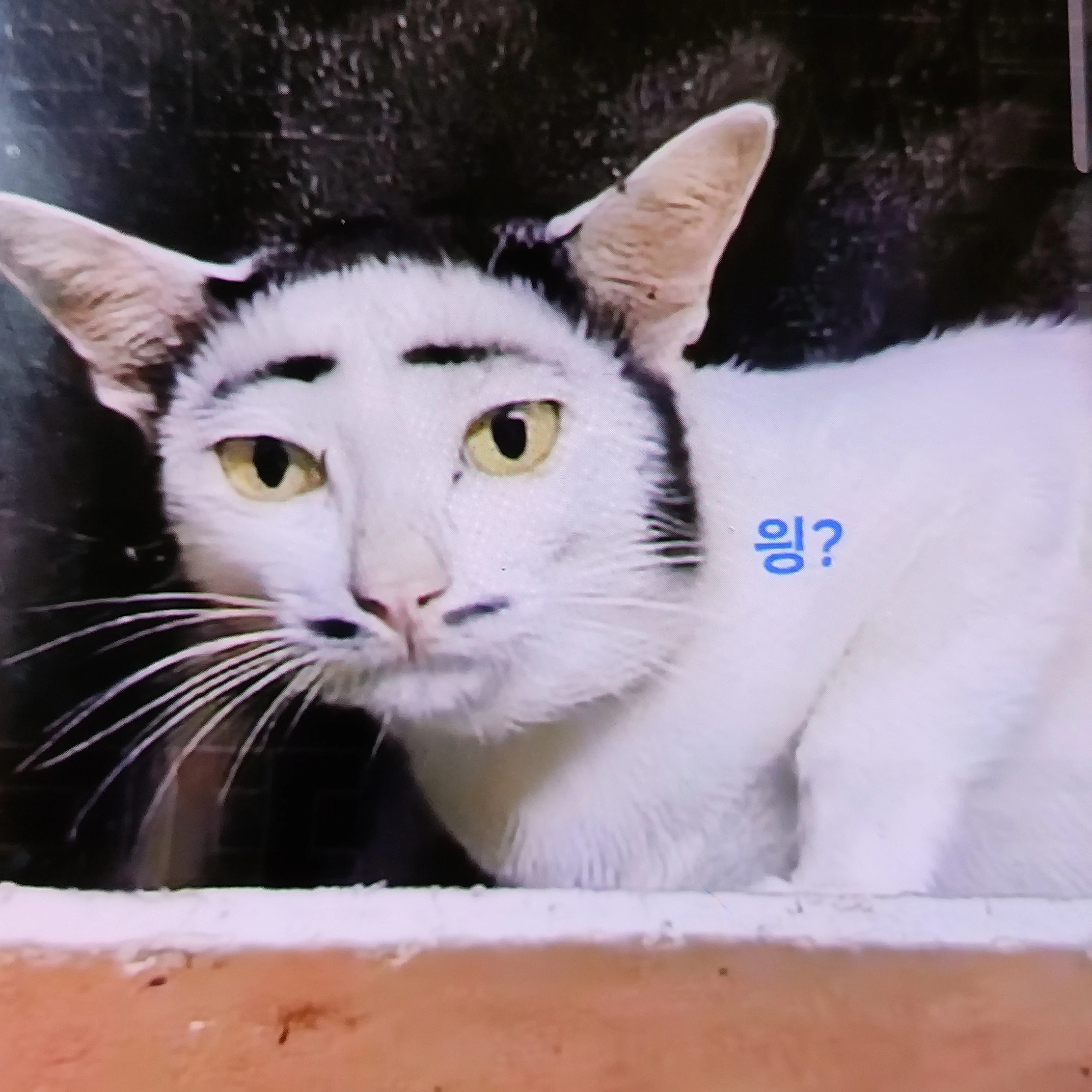 시스템