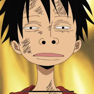 JaggedDryer4328의 One Piece