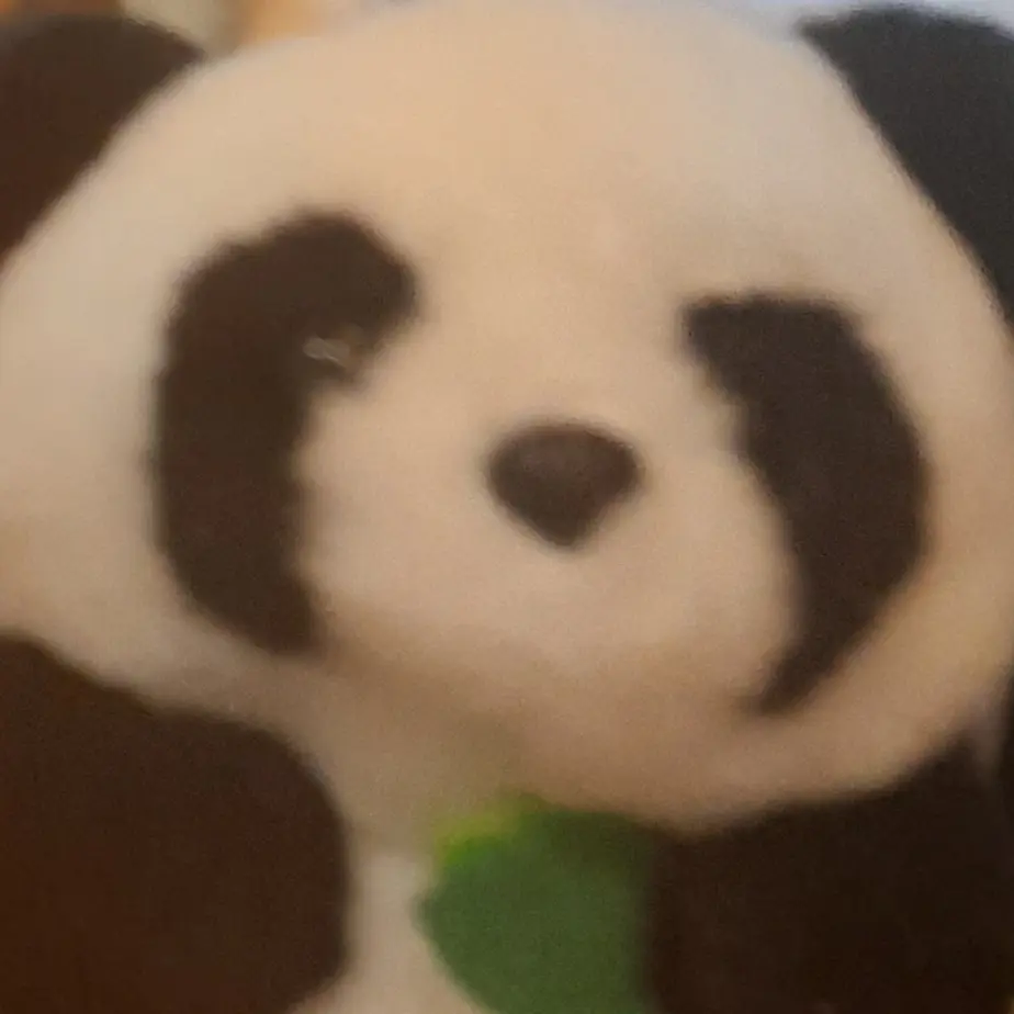 CoralGorge3441의 스프런키 경매