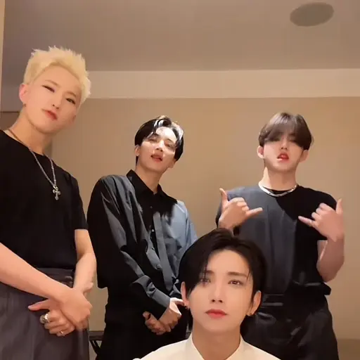 DullViper7842의 세븐틴 오빠들
