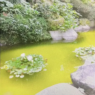 Profile image of あ