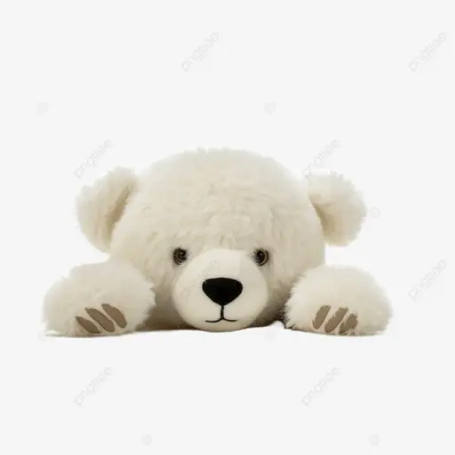 Marrrrrr의 이 곰