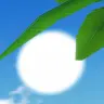 Profile image of 마음대로