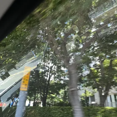 Profile image of 유하람