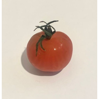 이 사랑 통역 되나요? 대표 이미지