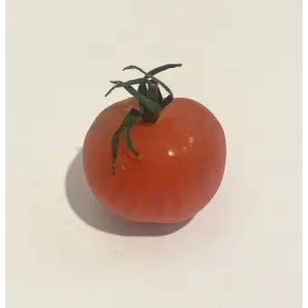 Profile image of 주호진