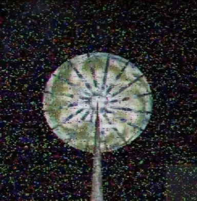 Profile image of - SC-3