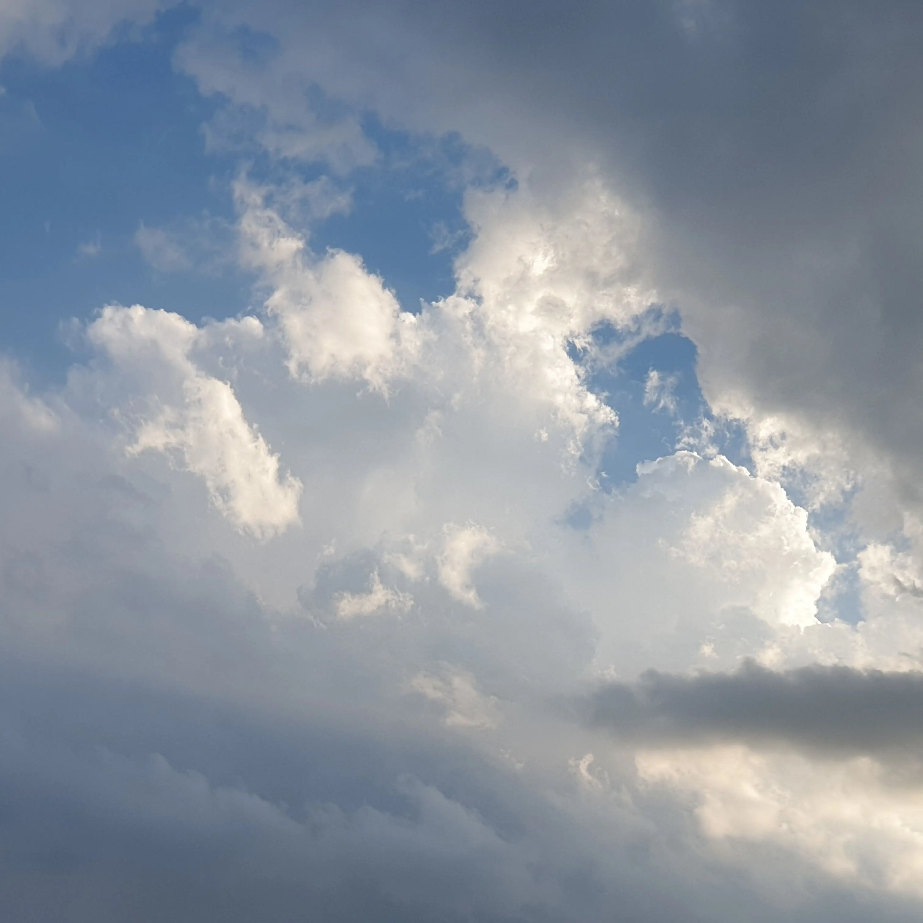 CrazyCupid25의 산부인과 RPG