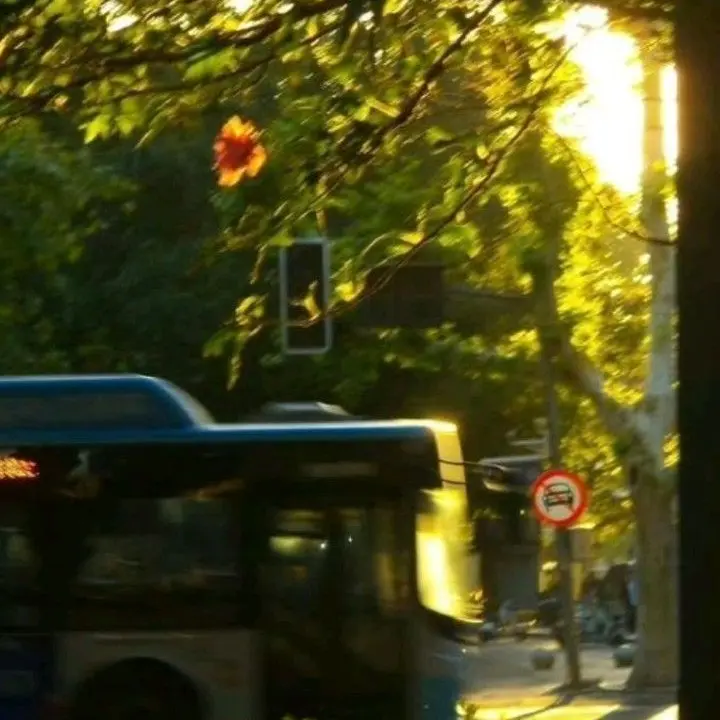 010-xxxx-xxxx의 ㅤ